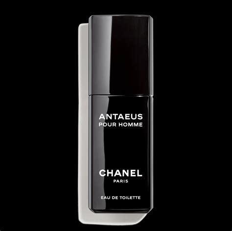 chanel antaeus eau de toilette 200 ml|chanel antaeus 100ml price.